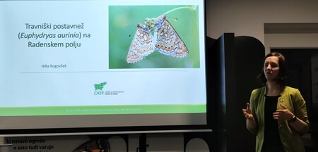 Travniški postavnež