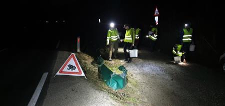 8 Akcija prenašanja dvoživk preko ceste, februar in marec 2023