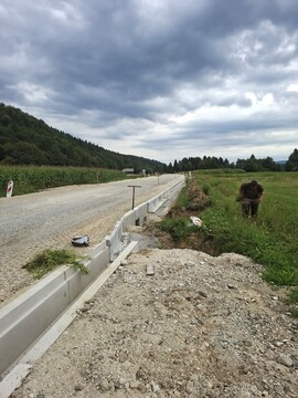 Odstranjevanje ambrozije ob cestišču 