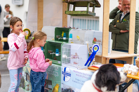 grosuplje-v-jeseni-2025-0046