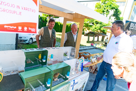 grosuplje-v-jeseni-2025-0182