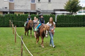 b_800_600_0_00_images_stories_Novice_2015_GROSUPLJE_V_JESENI_9zc