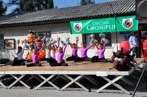 b_800_600_0_00_images_stories_Novice_2013_Grosuplje_v_jeseni_2013_9e
