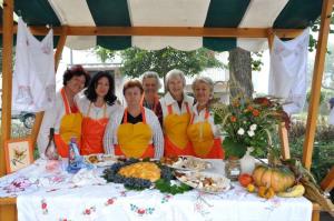 b_800_600_0_00_images_stories_novice_2011-1_september_Grosuplje_v_jeseni_2011_8