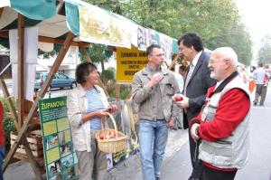 b_800_600_0_00_images_stories_novice_2011-1_september_Grosuplje_v_jeseni_2011_9a