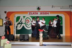 b_800_600_0_00_images_stories_novice_2011-1_september_Grosuplje_v_jeseni_2011_9p
