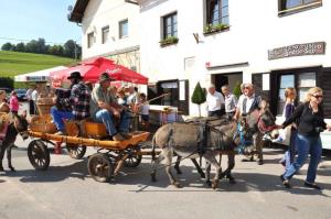 b_800_600_0_00_images_stories_novice_2011-1_september_Grosuplje_v_jeseni_2011_9zc