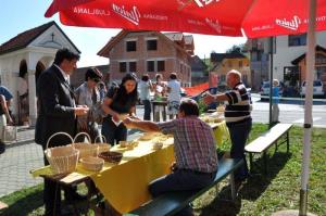 b_800_600_0_00_images_stories_novice_2011-1_september_Grosuplje_v_jeseni_2011_9ze