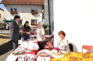 b_800_600_0_00_images_stories_novice_2011-1_september_Grosuplje_v_jeseni_2011_9zg